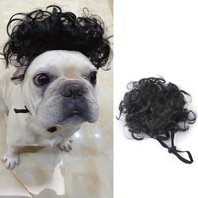 Pet Wigs, Dog & Cat Cross-Dressing Hair Set