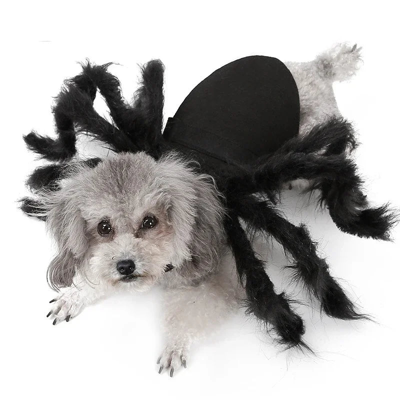 Funny Dog/Cat Spider Costume. Let your bet loose at parties and wait for the screams
