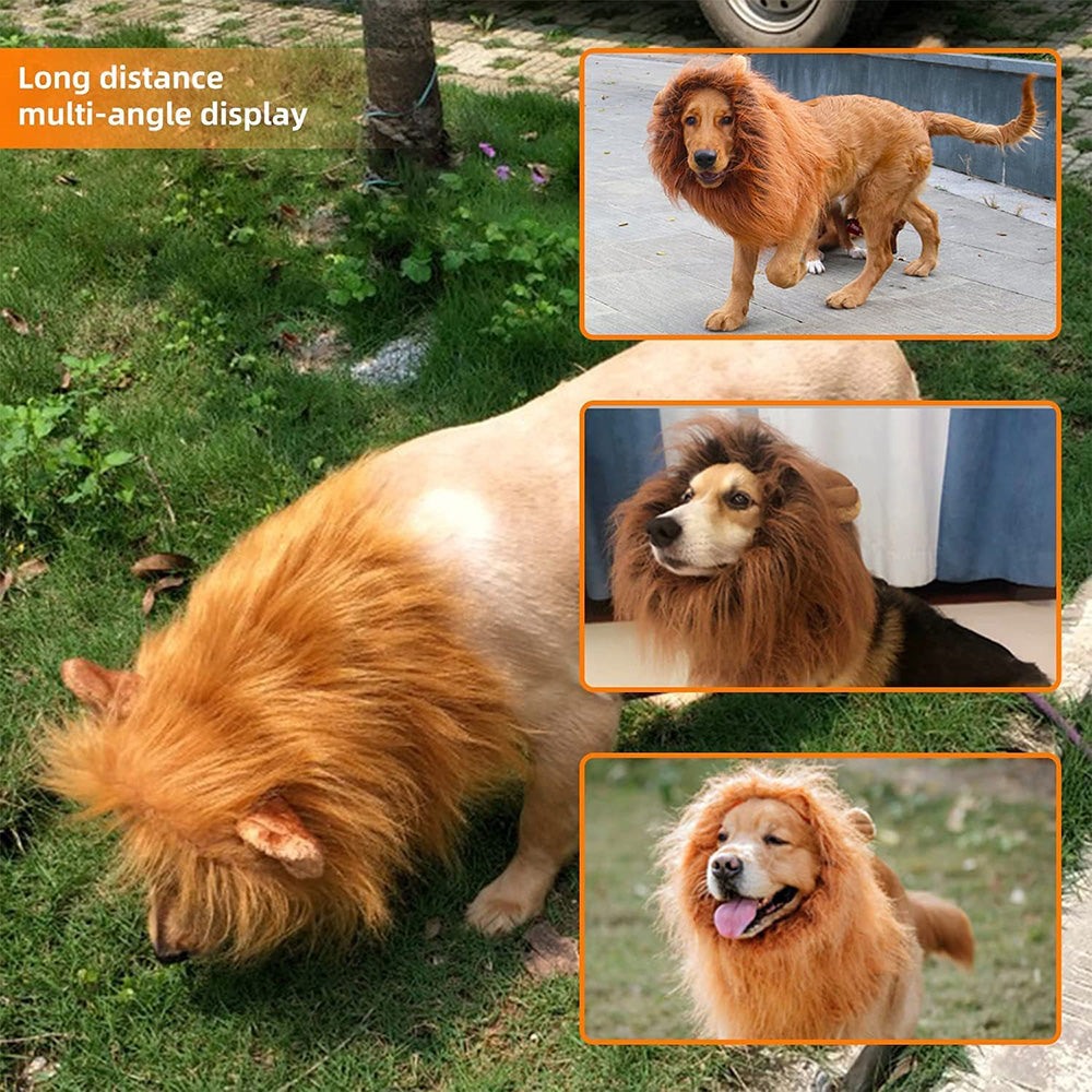 Lion Mane Wig for Dogs – Hilarious Costume
