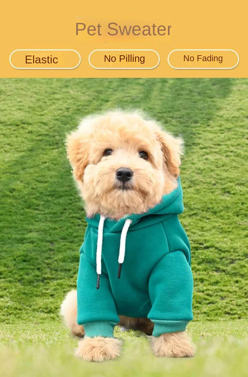 Doggo Hoodies, for your Gym buddy. Keep your best mate warm whilst looking the business.