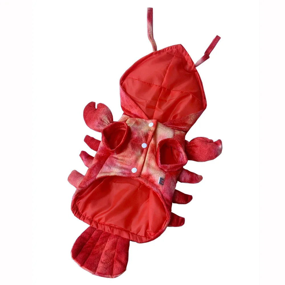 Hilarious Dog Lobster Costume for dogs and cats.