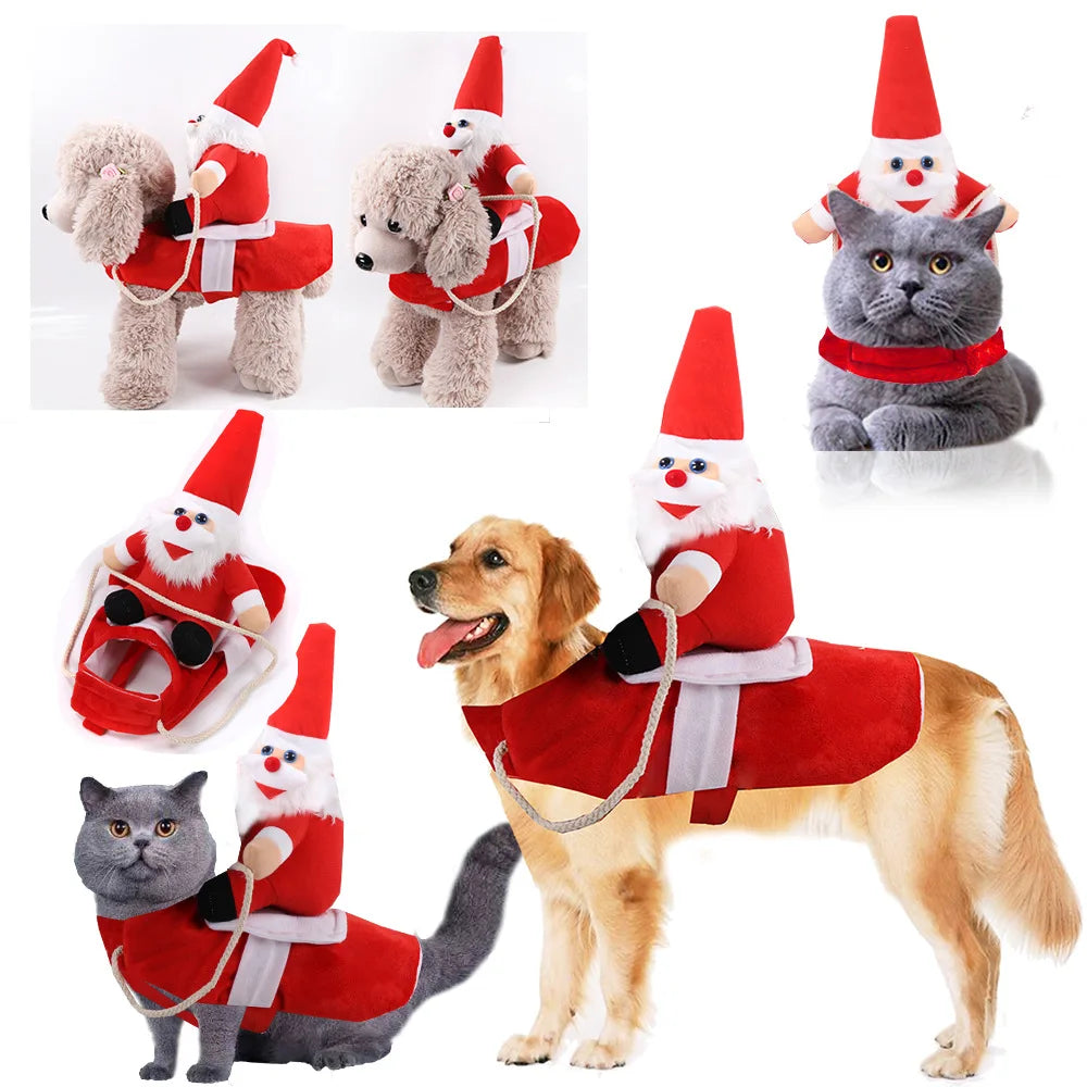 Hilarious dog rider style costumes. A wide range of styles and sizes to choose from.