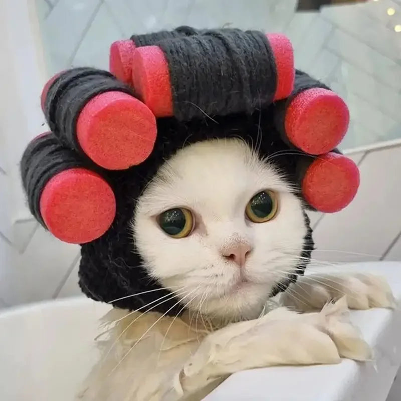Funny Party Hat for Dogs & Cats.
