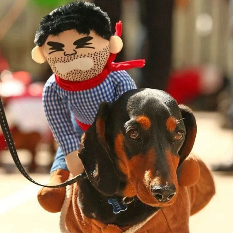 Funny Dress Up Bull (Dog) rider Costume