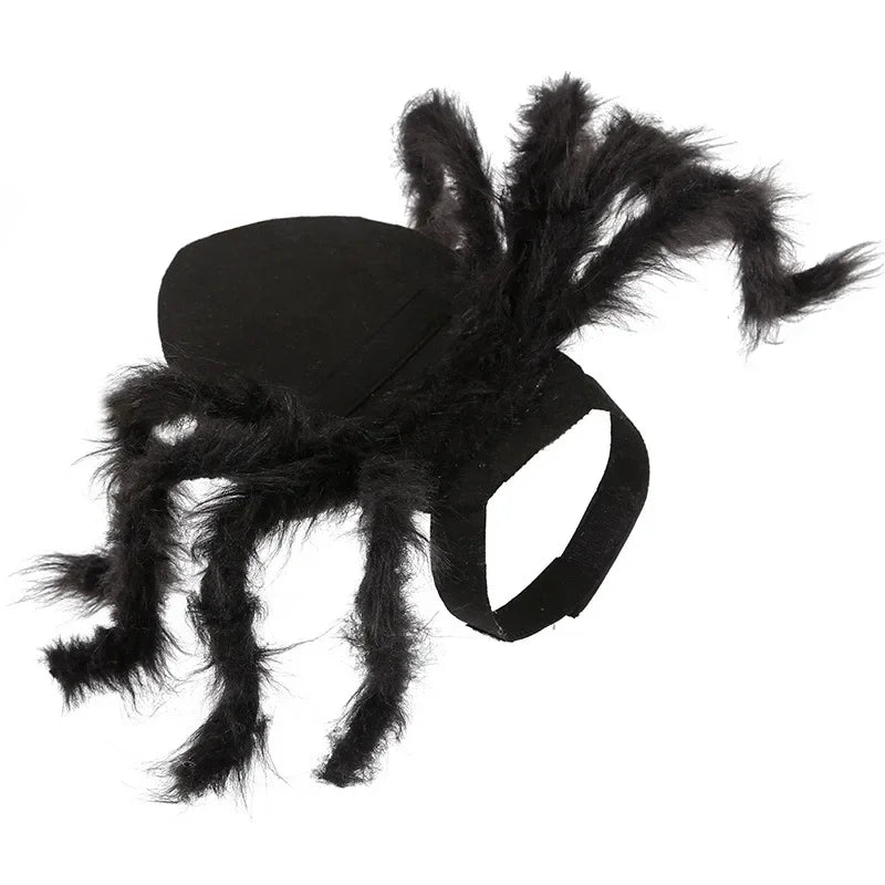 Funny Dog/Cat Spider Costume. Let your bet loose at parties and wait for the screams