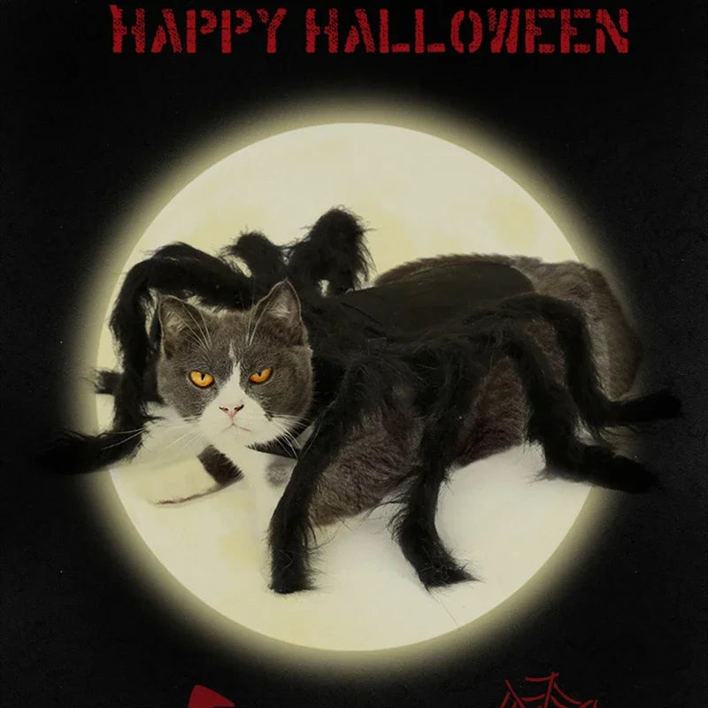 Funny Dog/Cat Spider Costume. Let your bet loose at parties and wait for the screams