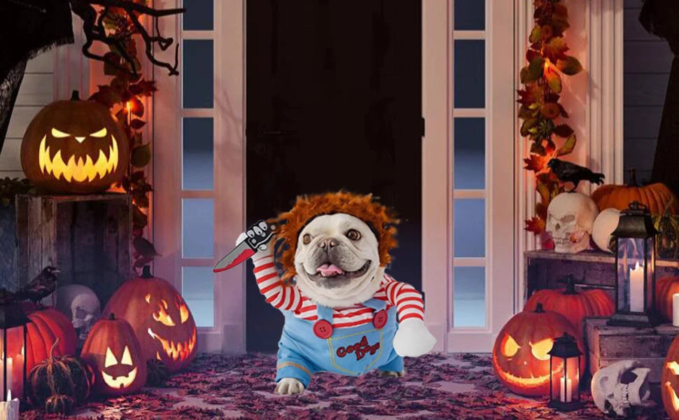 "Run for your lives", will be the call when you you take your dog for a walk wearing this funny Costume Dog Clothes Party Costume. Available in 4 sizes.