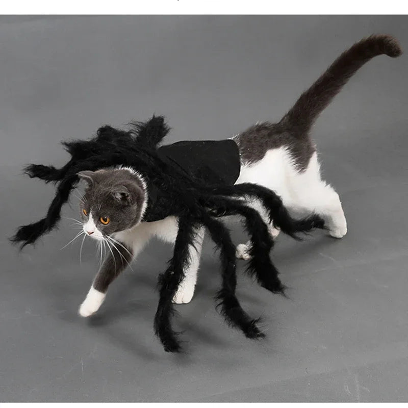 Funny Dog/Cat Spider Costume. Let your bet loose at parties and wait for the screams