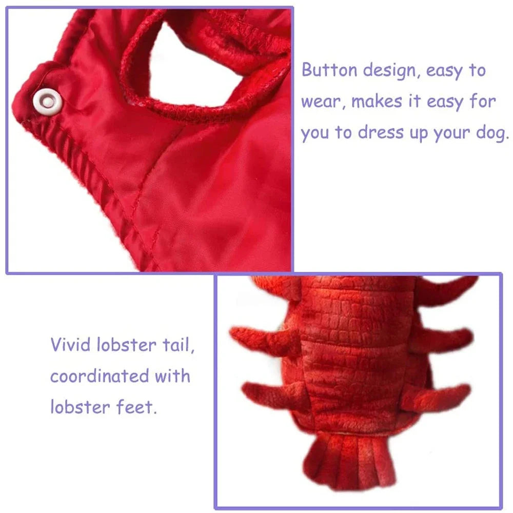 Hilarious Dog Lobster Costume for dogs and cats.