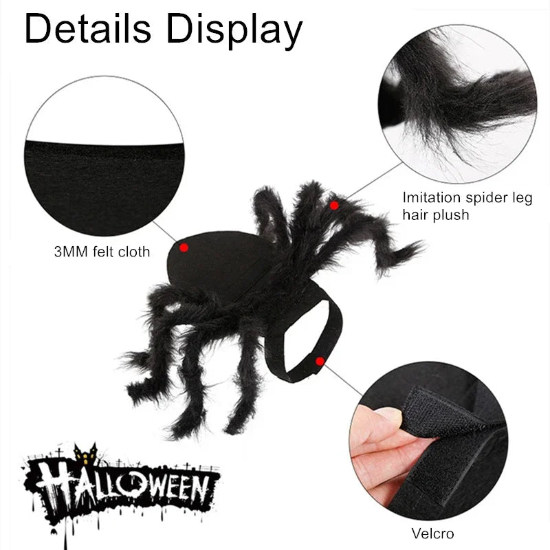 Funny Dog/Cat Spider Costume. Let your bet loose at parties and wait for the screams