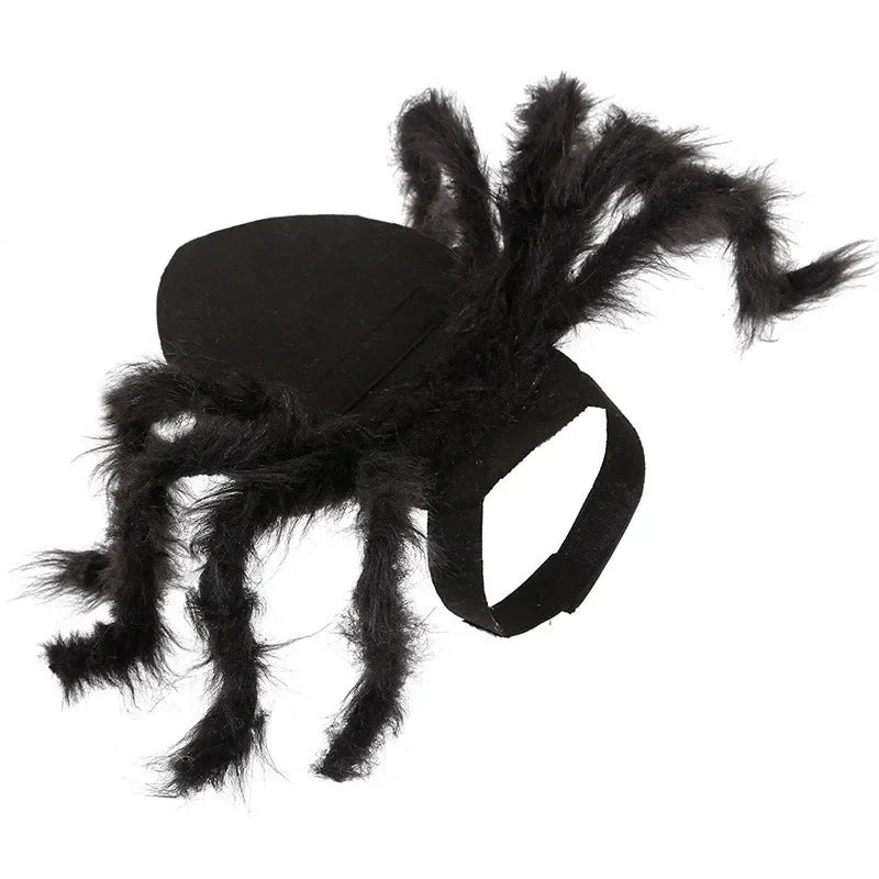 Funny Dog/Cat Spider Costume. Let your bet loose at parties and wait for the screams