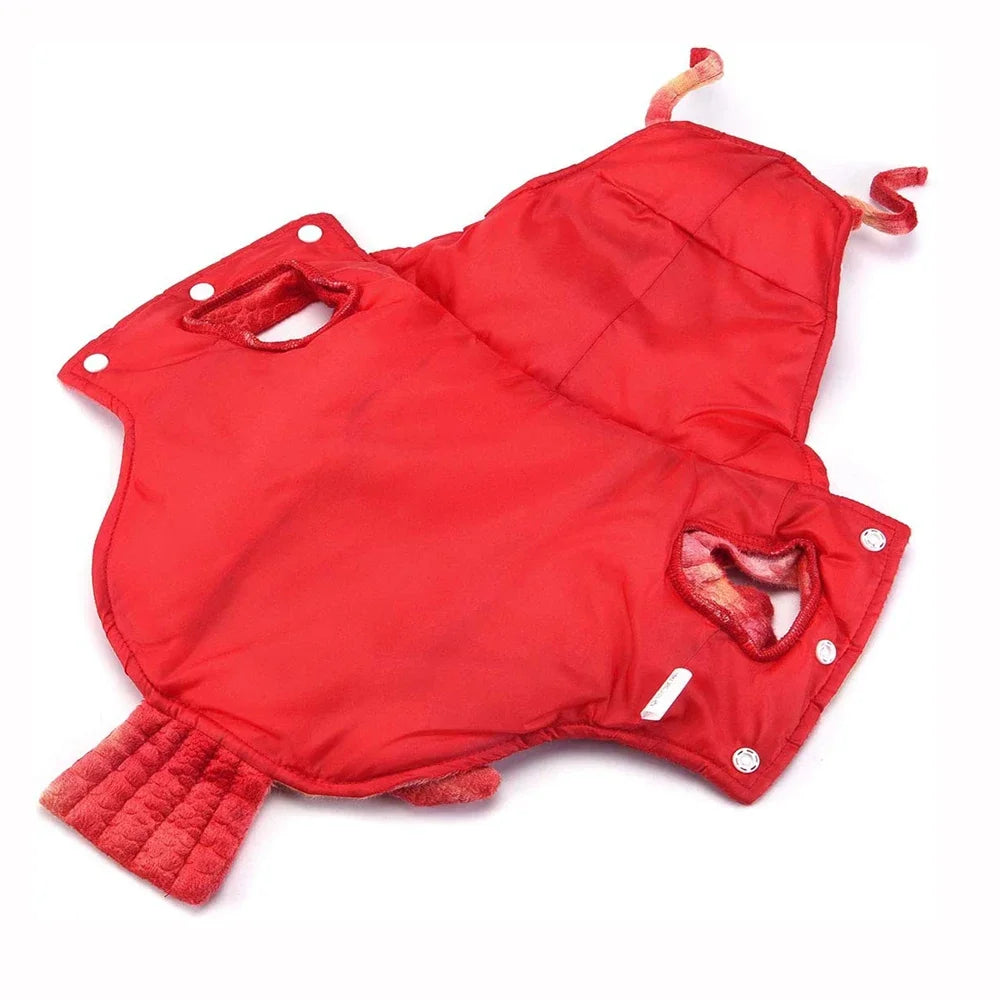 Hilarious Dog Lobster Costume for dogs and cats.