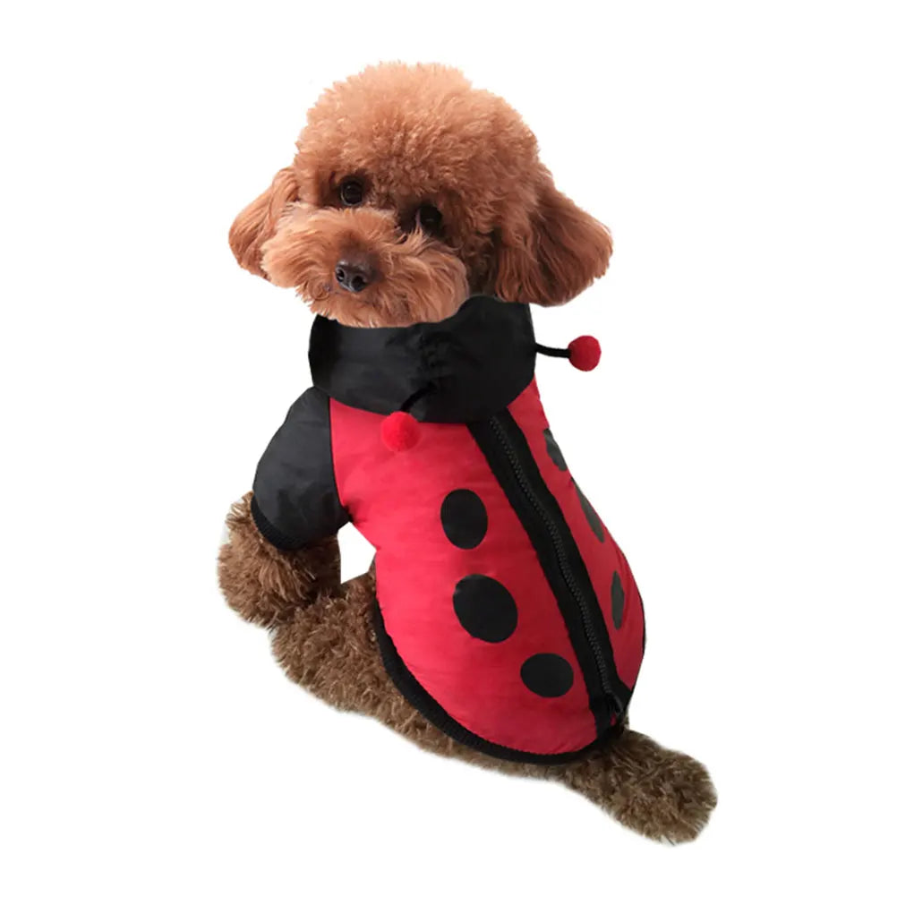 Cute Ladybug Dog Costume - Have the cutest dog in your neighbourhood.