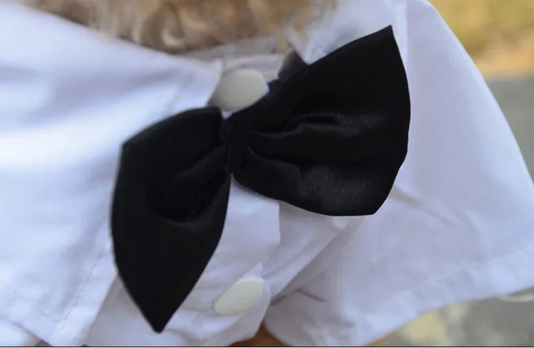 Spiffy Tuxedo Suit Costume for Weddings Birthday Parties and other formal occasions.  Comes 4 colours and 5 sizes.