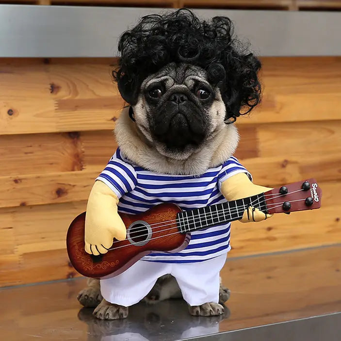 Funny dog Guitar Player outfit.  Fair to say you are going to get a lot of comments taking doggo for coffee wearing this
