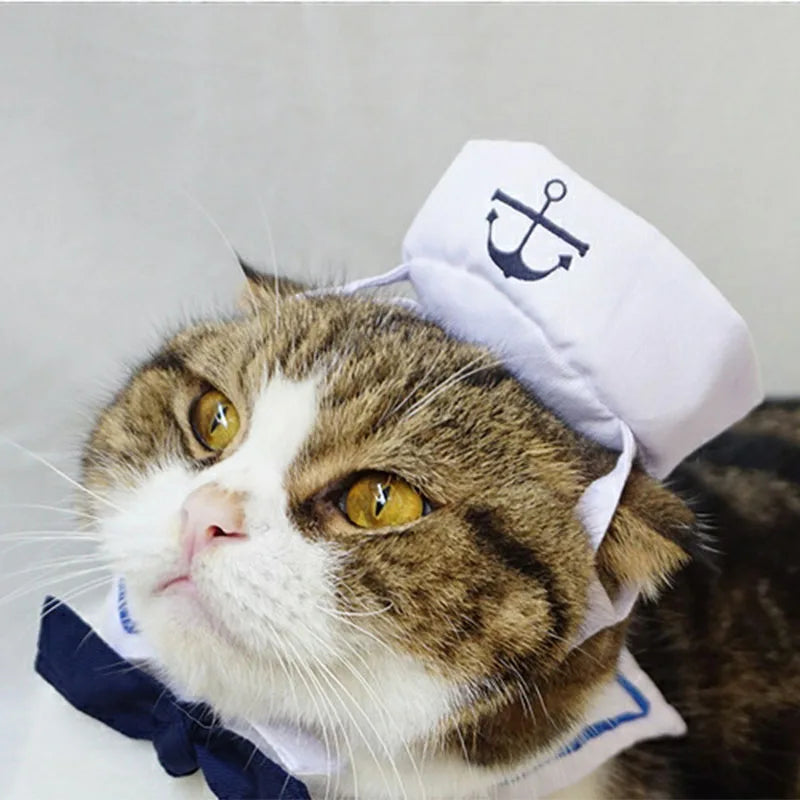 Well, "Hello Sailor". Adorable sailor suit for your little mate.