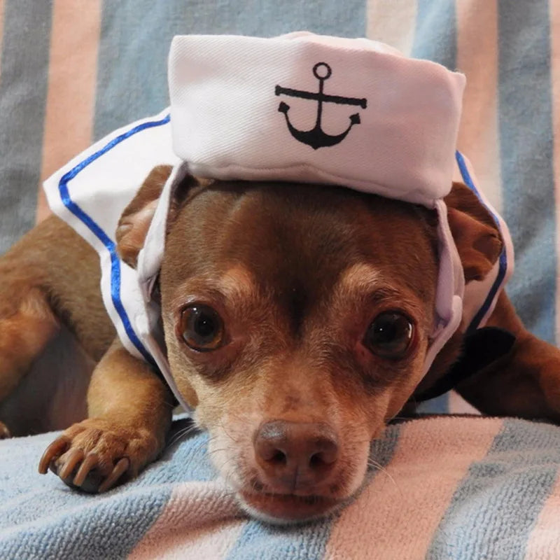 Well, "Hello Sailor". Adorable sailor suit for your little mate.