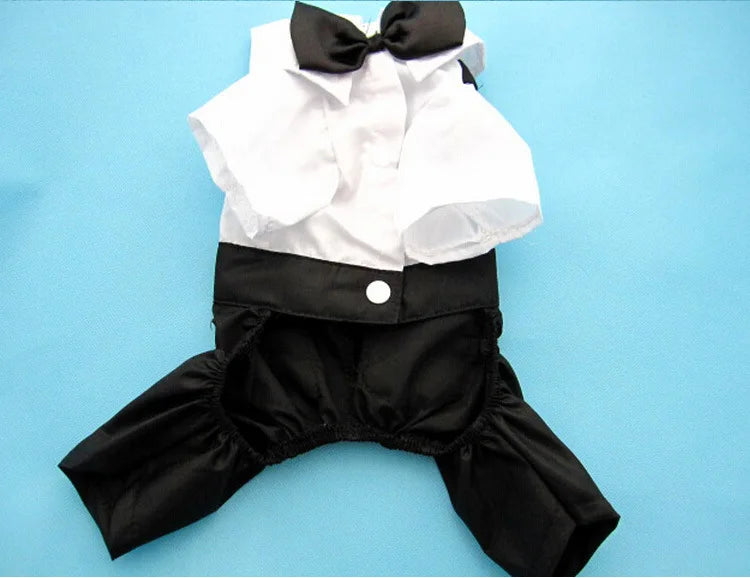 Spiffy Tuxedo Suit Costume for Weddings Birthday Parties and other formal occasions.  Comes 4 colours and 5 sizes.