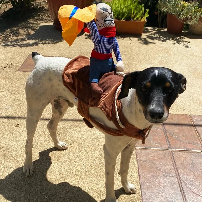 Funny Dress Up Bull (Dog) rider Costume