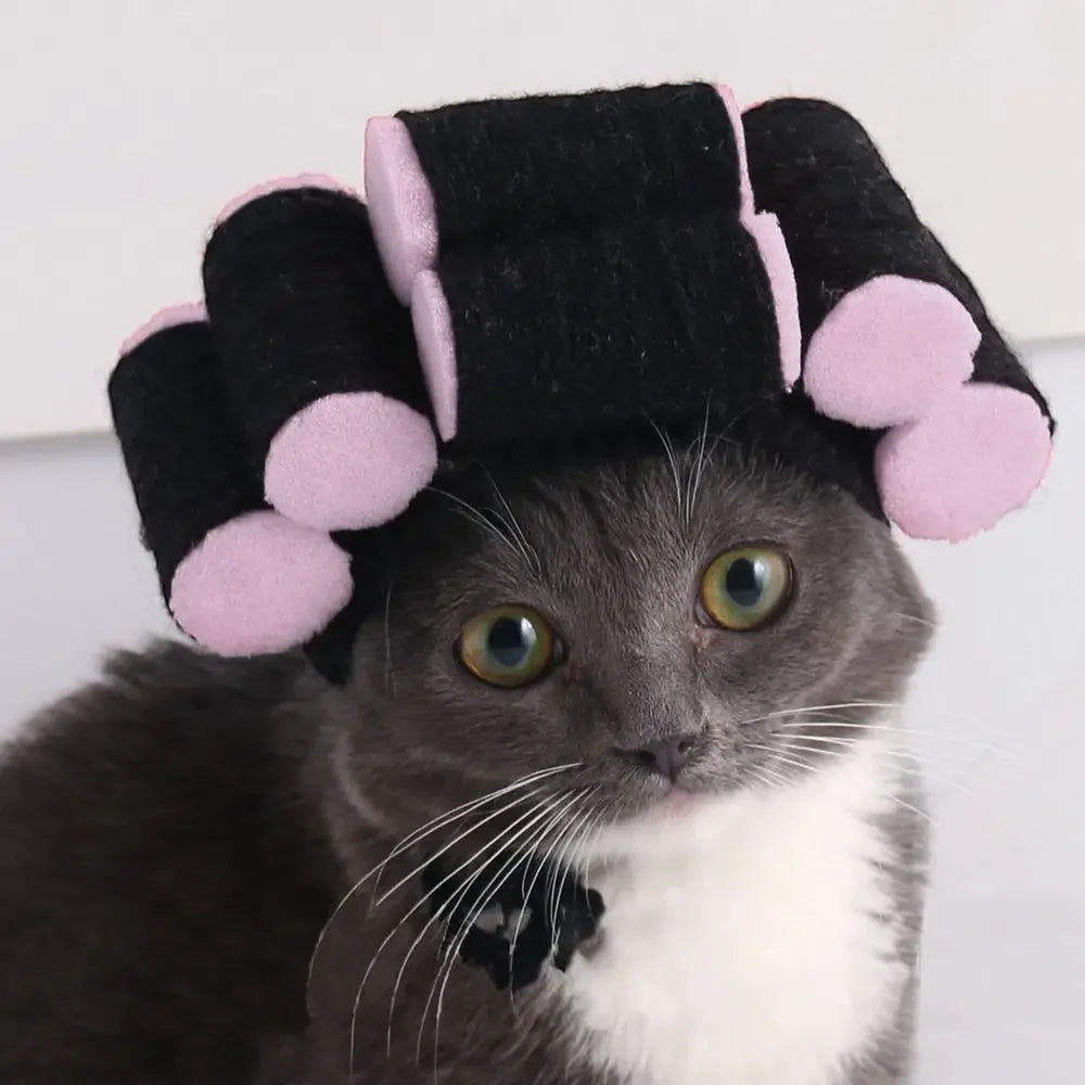 Funny Party Hat for Dogs & Cats.