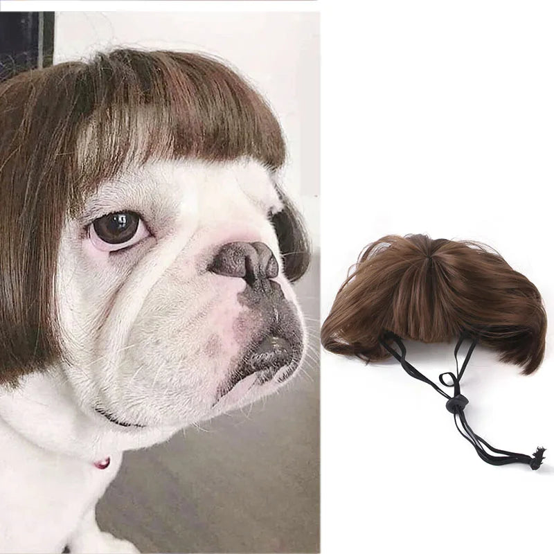 Pet Wigs, Dog & Cat Cross-Dressing Hair Set