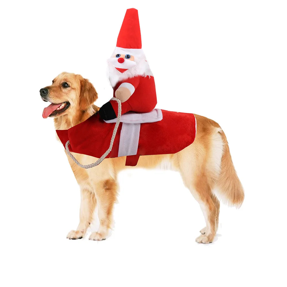 Hilarious dog rider style costumes. A wide range of styles and sizes to choose from.
