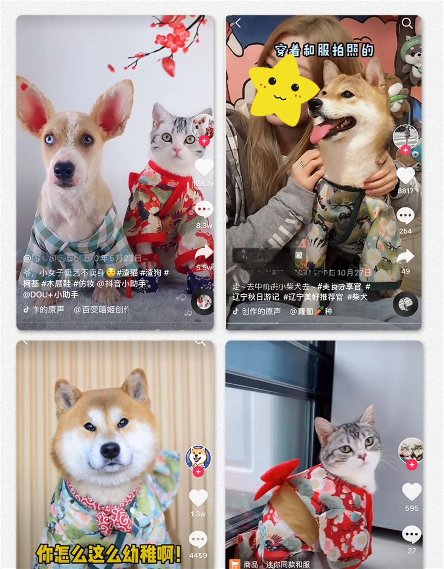 Your mate will be the most stylish resident in your street with this high quality, Japanese Kimono Dog Costume.  Comes in a wide range colours and of sizes.
