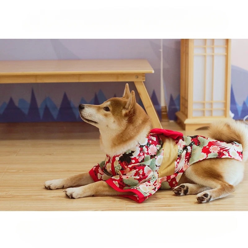 Your mate will be the most stylish resident in your street with this high quality, Japanese Kimono Dog Costume.  Comes in a wide range colours and of sizes.