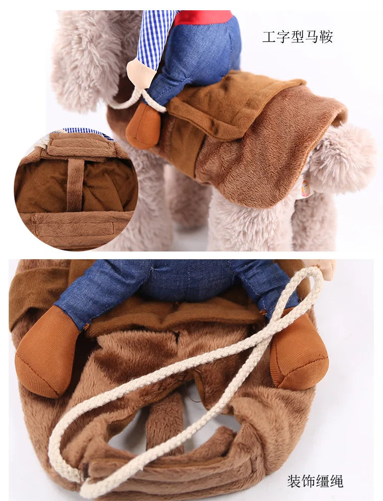 Hilarious dog rider style costumes. A wide range of styles and sizes to choose from.