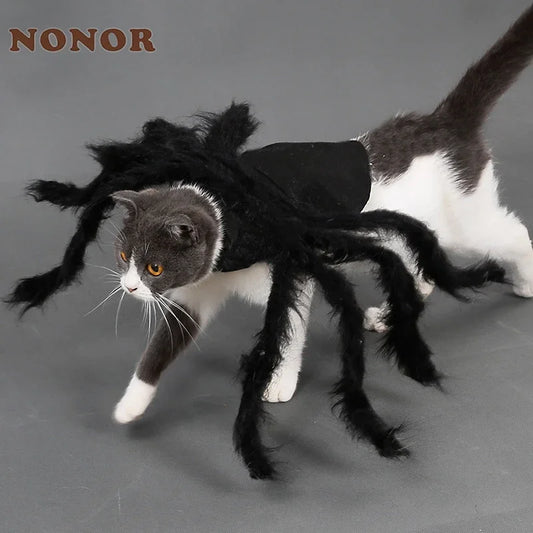 Funny Dog/Cat Spider Costume.  Let your bet loose at parties and wait for the screams