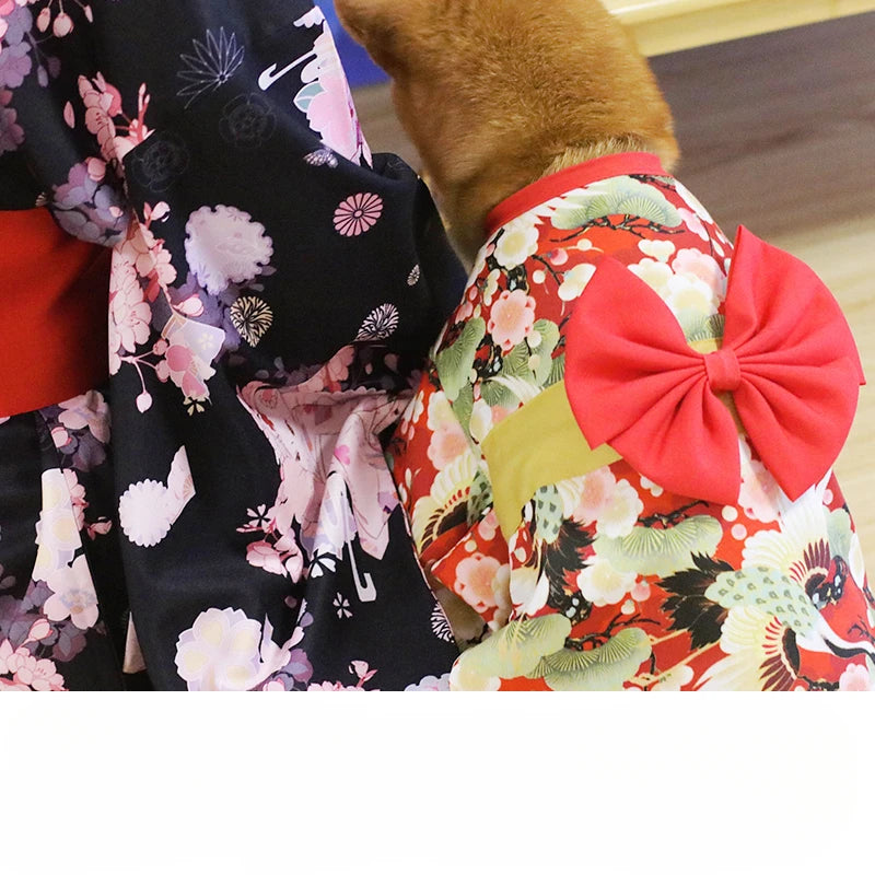 Your mate will be the most stylish resident in your street with this high quality, Japanese Kimono Dog Costume.  Comes in a wide range colours and of sizes.