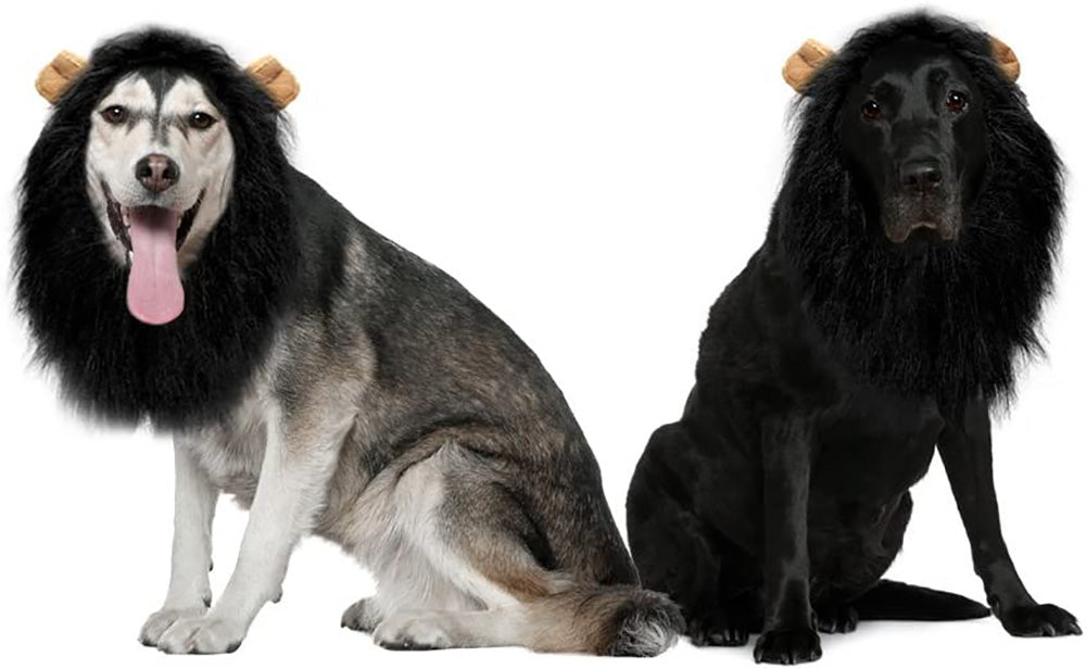 Lion Mane Wig for Dogs – Hilarious Costume