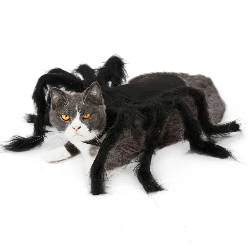Funny Dog/Cat Spider Costume.  Let your bet loose at parties and wait for the screams