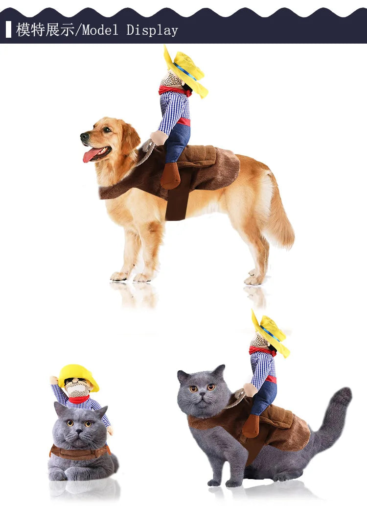 Hilarious dog rider style costumes. A wide range of styles and sizes to choose from.
