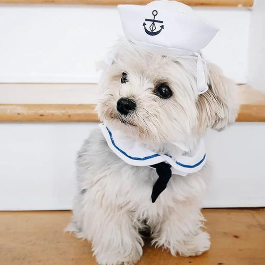 Well, "Hello Sailor". Adorable sailor suit for your little mate.