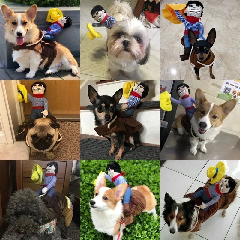 Funny Dress Up Bull (Dog) rider Costume
