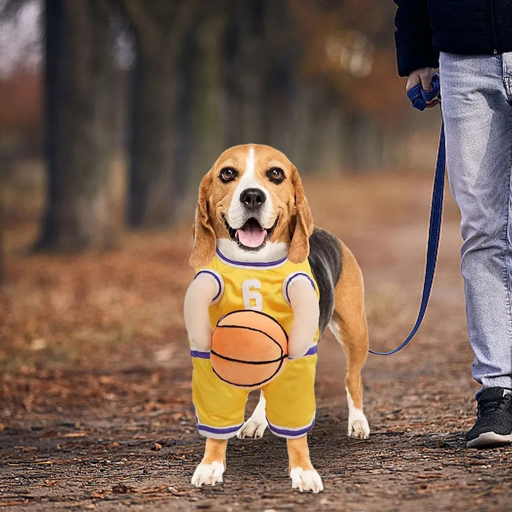 Watch all the second glances you get walking your mate to the café with this Sporting Basketball Costume.  Available for S/M/L dogs.