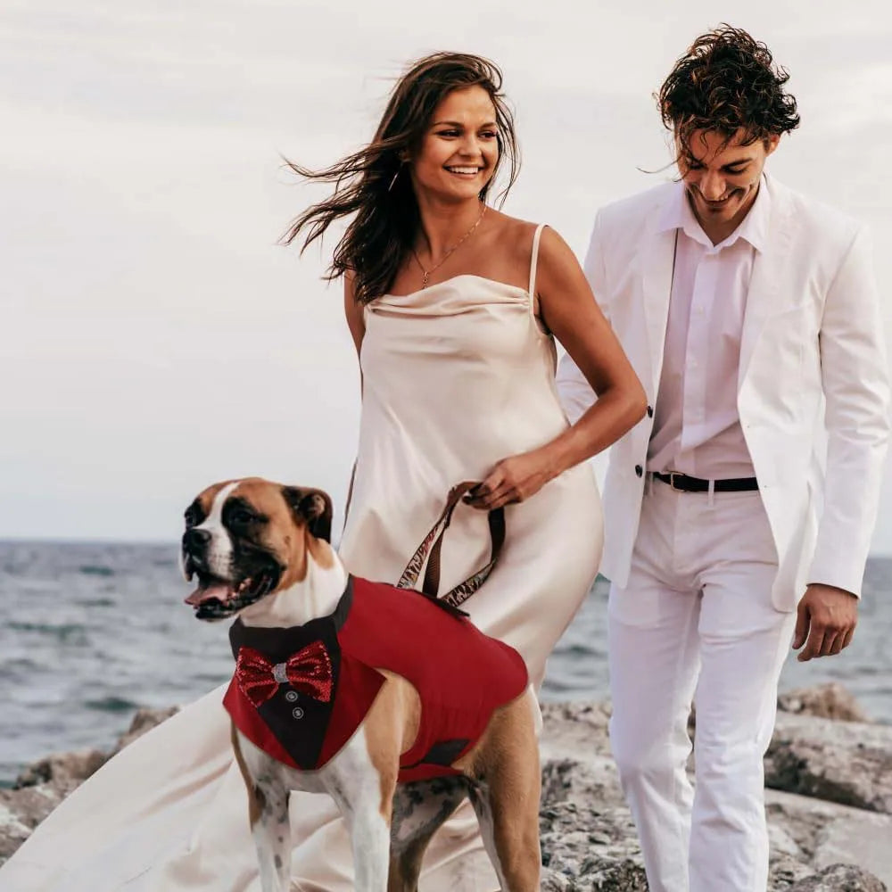 Comfortable Dog Tuxedo for your best mate, with detachable Bow Tie. Time to go out on the town.
