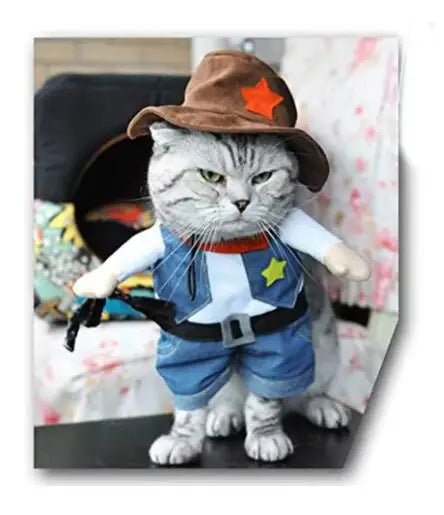 Hilarious dog rider style costumes. A wide range of styles and sizes to choose from.