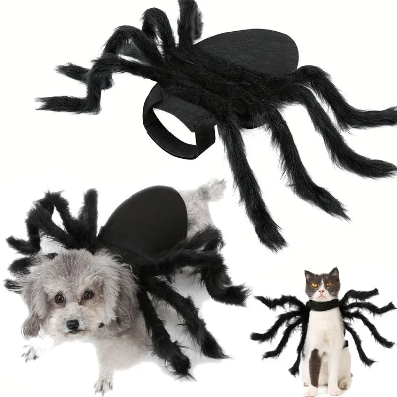 Funny Dog/Cat Spider Costume.  Let your bet loose at parties and wait for the screams