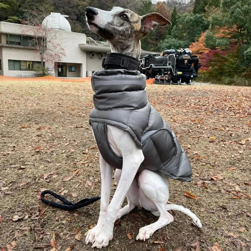 Keep your dog warm this winter with a Waterproof, Fleece Vest. Thickened material for real warmth.