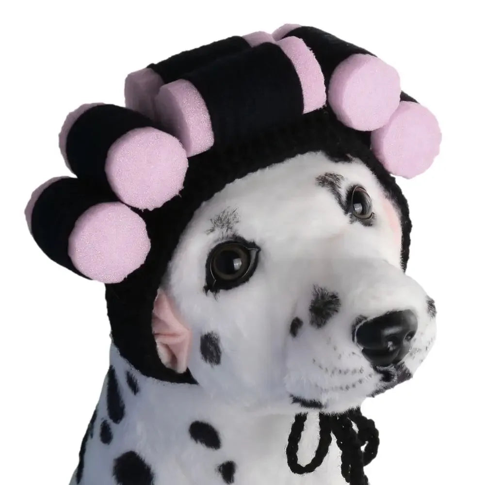 Funny Party Hat for Dogs & Cats.