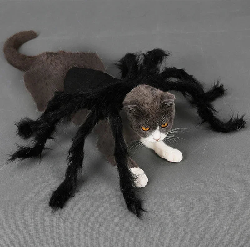 Funny Dog/Cat Spider Costume.  Let your bet loose at parties and wait for the screams