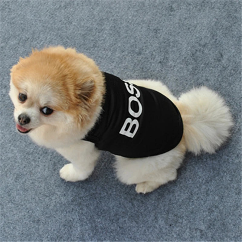 Funny Security Clothing for Dogs.  Various colours