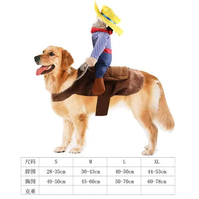 Hilarious dog rider style costumes. A wide range of styles and sizes to choose from.