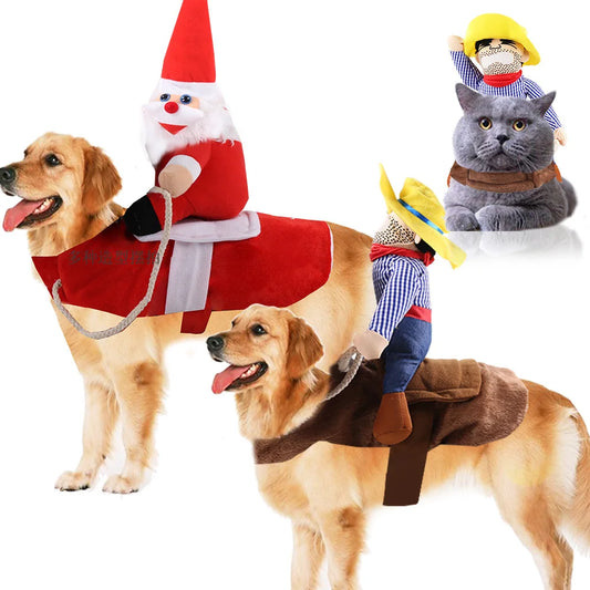 Hilarious dog rider style costumes. A wide range of styles and sizes to choose from.