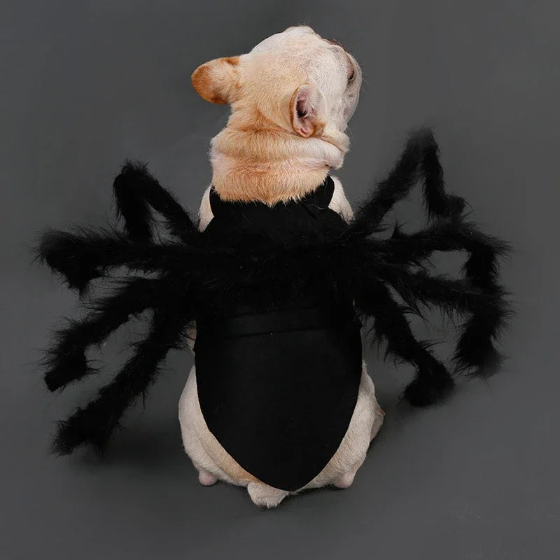 Funny Dog/Cat Spider Costume.  Let your bet loose at parties and wait for the screams
