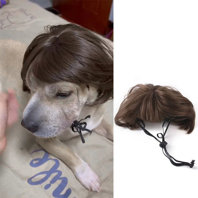 Pet Wigs, Dog & Cat Cross-Dressing Hair Set