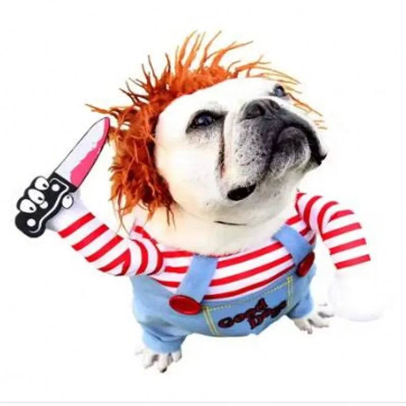 Hilarious dog rider style costumes. A wide range of styles and sizes to choose from.