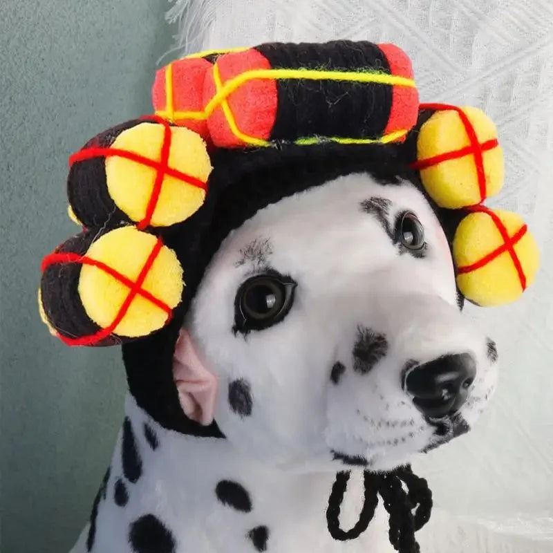 Funny Party Hat for Dogs & Cats.